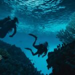 Leonardo_Kino_XL_Two_silhouettes_of_divers_and_a_coral_outline_0 (1)