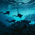 Leonardo_Kino_XL_Two_silhouettes_of_divers_and_a_coral_outline_1
