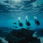 Leonardo_Kino_XL_Two_silhouettes_of_divers_and_a_coral_outline_1 (2)