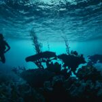 Leonardo_Kino_XL_Two_silhouettes_of_divers_and_a_coral_outline_2 (1)