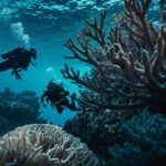 Leonardo_Kino_XL_Two_silhouettes_of_divers_and_a_coral_outline_2 (2)