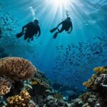 Leonardo_Kino_XL_Two_silhouettes_of_divers_and_a_coral_outline_2 (3)