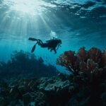 Leonardo_Kino_XL_Two_silhouettes_of_divers_and_a_coral_outline_3